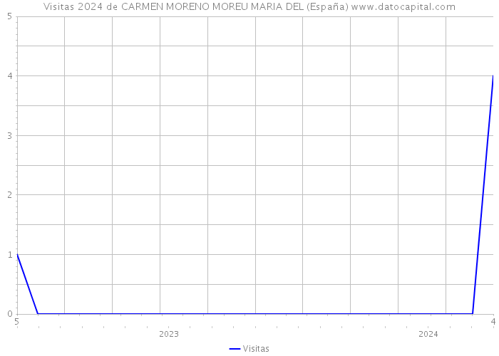 Visitas 2024 de CARMEN MORENO MOREU MARIA DEL (España) 