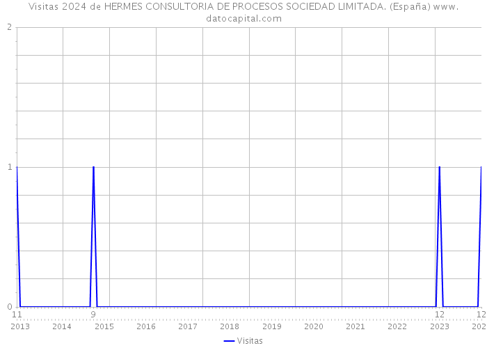 Visitas 2024 de HERMES CONSULTORIA DE PROCESOS SOCIEDAD LIMITADA. (España) 