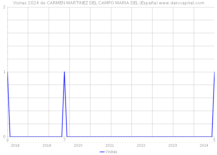 Visitas 2024 de CARMEN MARTINEZ DEL CAMPO MARIA DEL (España) 