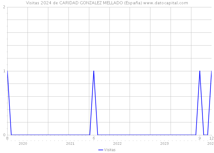 Visitas 2024 de CARIDAD GONZALEZ MELLADO (España) 