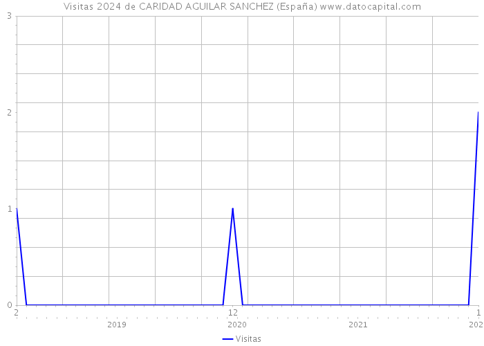 Visitas 2024 de CARIDAD AGUILAR SANCHEZ (España) 