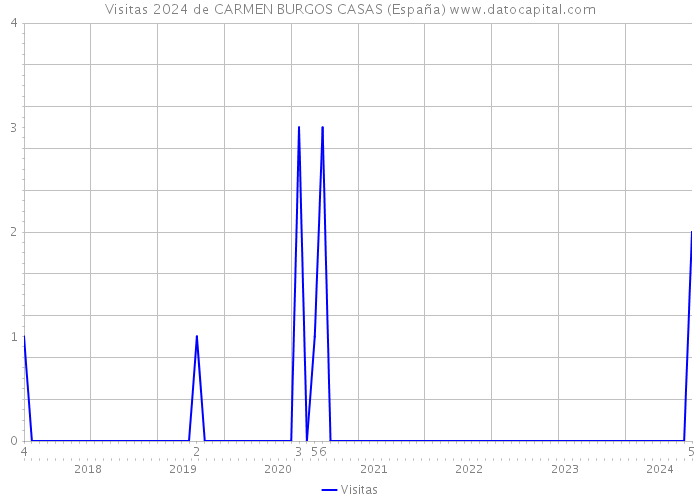 Visitas 2024 de CARMEN BURGOS CASAS (España) 