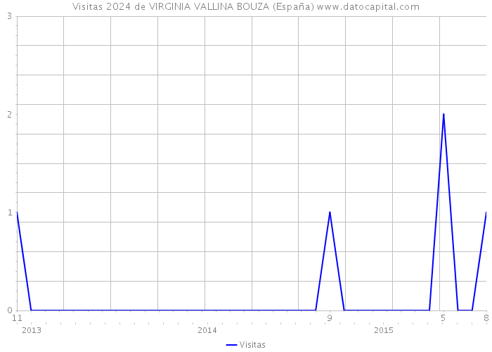 Visitas 2024 de VIRGINIA VALLINA BOUZA (España) 