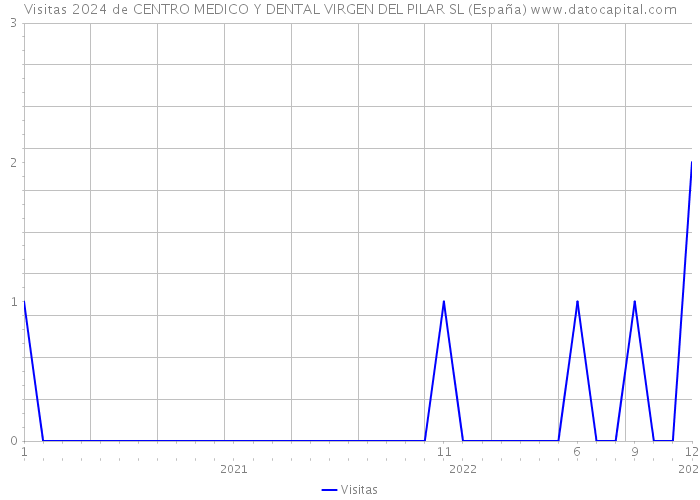 Visitas 2024 de CENTRO MEDICO Y DENTAL VIRGEN DEL PILAR SL (España) 