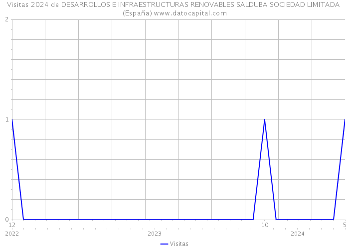 Visitas 2024 de DESARROLLOS E INFRAESTRUCTURAS RENOVABLES SALDUBA SOCIEDAD LIMITADA (España) 