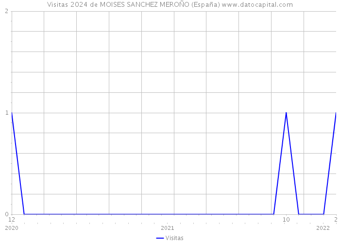 Visitas 2024 de MOISES SANCHEZ MEROÑO (España) 
