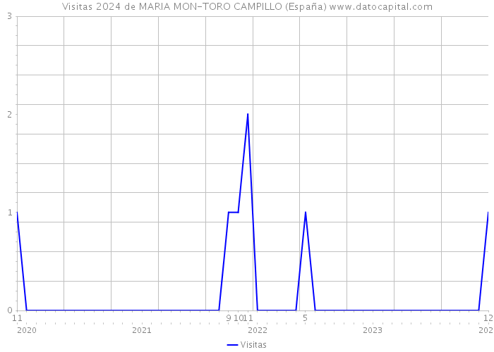 Visitas 2024 de MARIA MON-TORO CAMPILLO (España) 