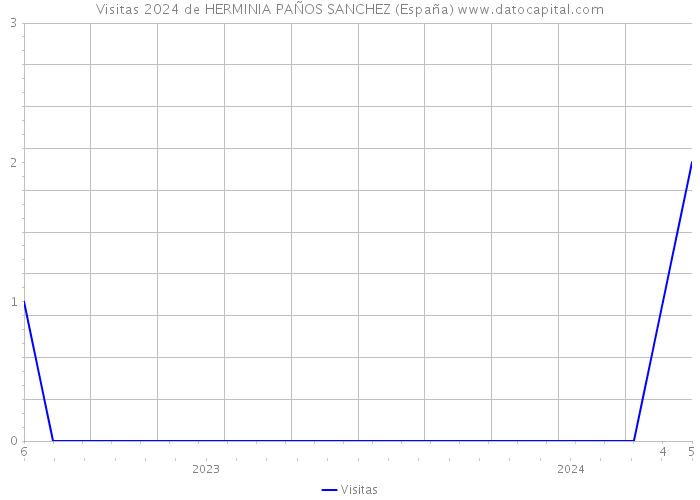 Visitas 2024 de HERMINIA PAÑOS SANCHEZ (España) 