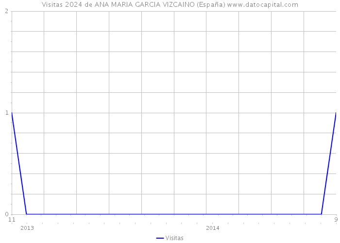 Visitas 2024 de ANA MARIA GARCIA VIZCAINO (España) 