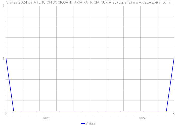 Visitas 2024 de ATENCION SOCIOSANITARIA PATRICIA NURIA SL (España) 