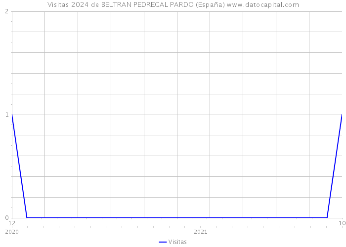 Visitas 2024 de BELTRAN PEDREGAL PARDO (España) 