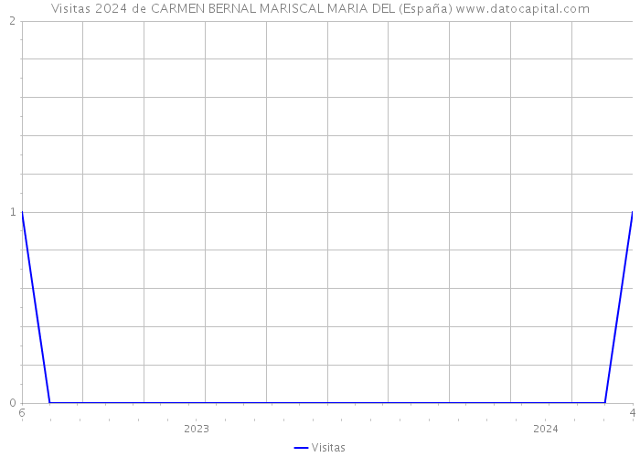 Visitas 2024 de CARMEN BERNAL MARISCAL MARIA DEL (España) 