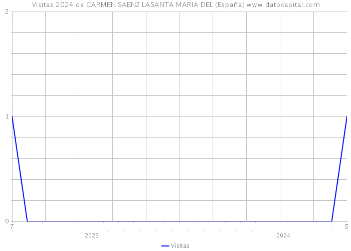Visitas 2024 de CARMEN SAENZ LASANTA MARIA DEL (España) 