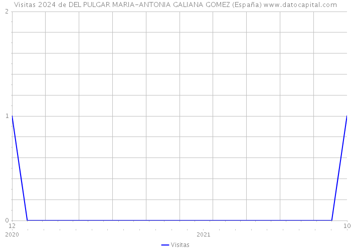 Visitas 2024 de DEL PULGAR MARIA-ANTONIA GALIANA GOMEZ (España) 