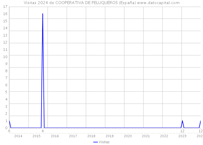 Visitas 2024 de COOPERATIVA DE PELUQUEROS (España) 