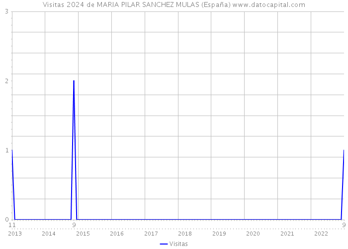Visitas 2024 de MARIA PILAR SANCHEZ MULAS (España) 