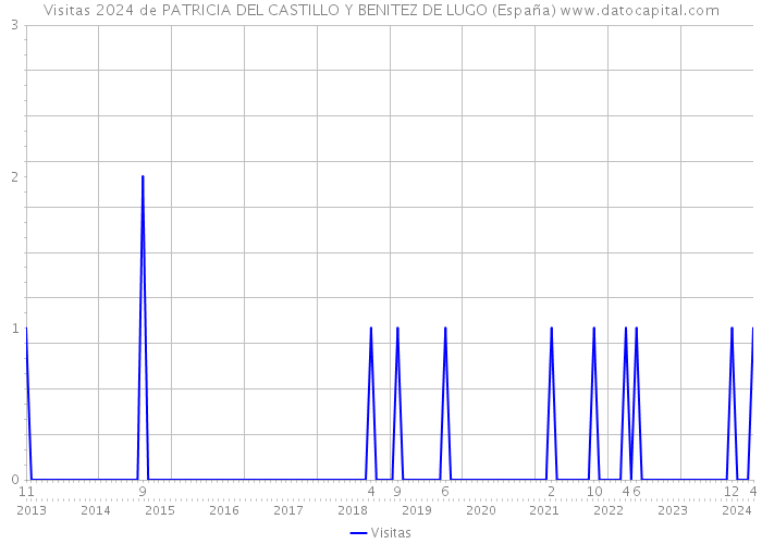 Visitas 2024 de PATRICIA DEL CASTILLO Y BENITEZ DE LUGO (España) 