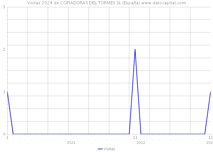 Visitas 2024 de COPIADORAS DEL TORMES SL (España) 