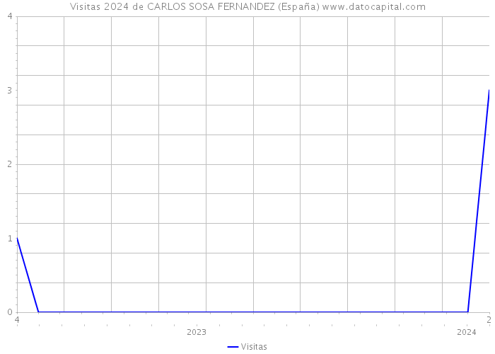 Visitas 2024 de CARLOS SOSA FERNANDEZ (España) 