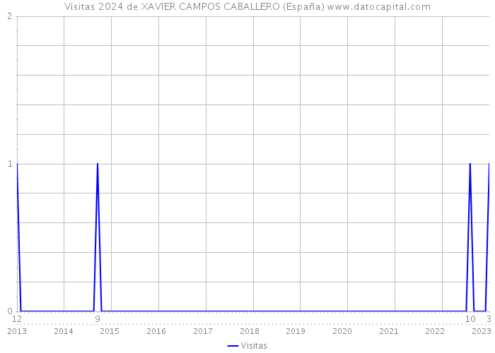 Visitas 2024 de XAVIER CAMPOS CABALLERO (España) 