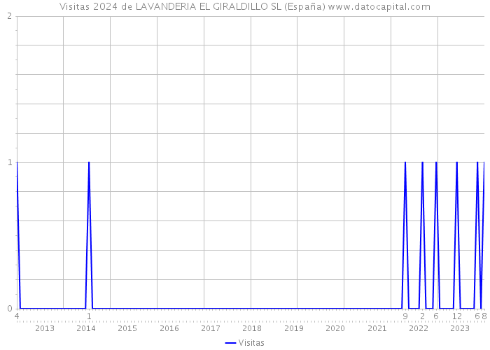 Visitas 2024 de LAVANDERIA EL GIRALDILLO SL (España) 