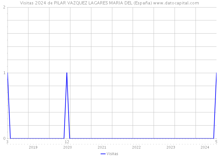 Visitas 2024 de PILAR VAZQUEZ LAGARES MARIA DEL (España) 