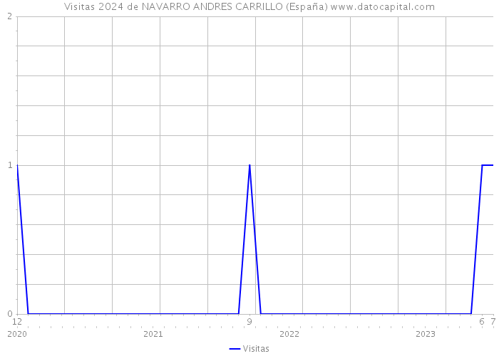 Visitas 2024 de NAVARRO ANDRES CARRILLO (España) 