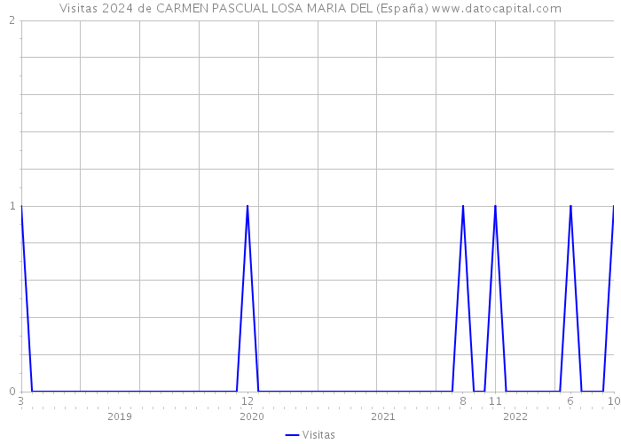 Visitas 2024 de CARMEN PASCUAL LOSA MARIA DEL (España) 