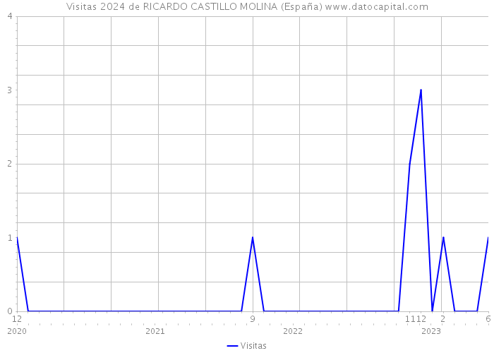 Visitas 2024 de RICARDO CASTILLO MOLINA (España) 