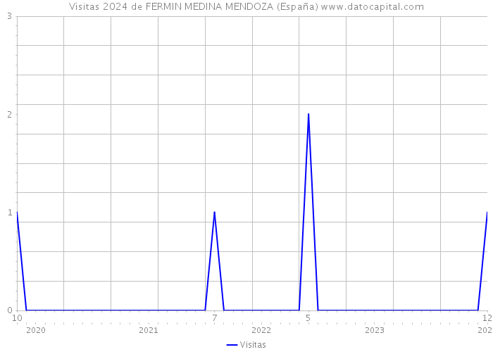 Visitas 2024 de FERMIN MEDINA MENDOZA (España) 