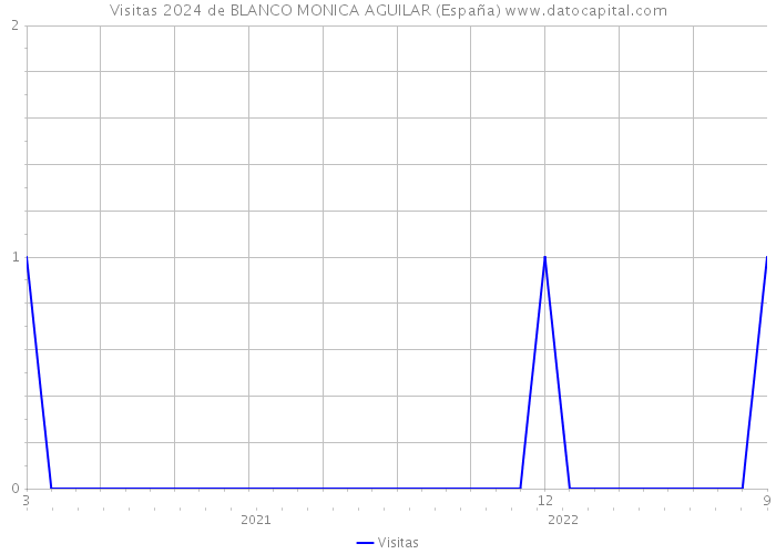Visitas 2024 de BLANCO MONICA AGUILAR (España) 