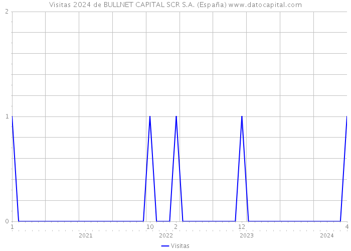 Visitas 2024 de BULLNET CAPITAL SCR S.A. (España) 