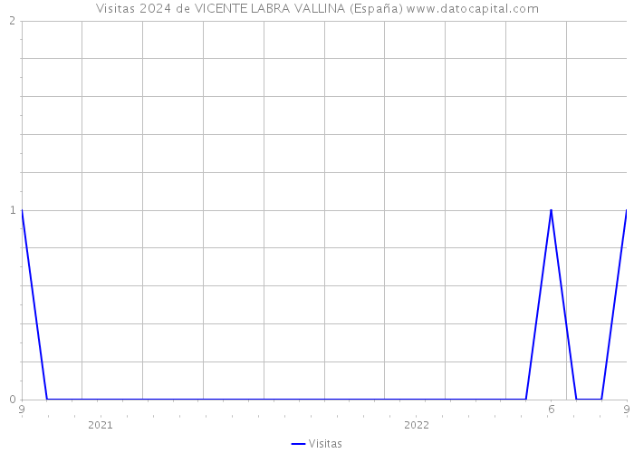 Visitas 2024 de VICENTE LABRA VALLINA (España) 