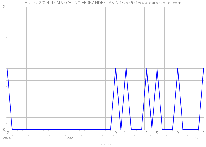 Visitas 2024 de MARCELINO FERNANDEZ LAVIN (España) 