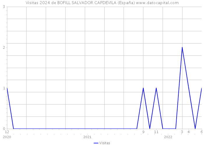 Visitas 2024 de BOFILL SALVADOR CAPDEVILA (España) 