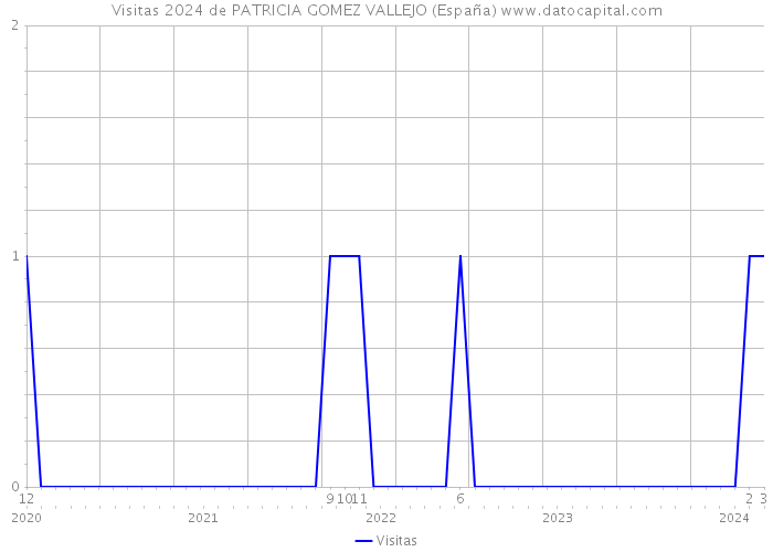 Visitas 2024 de PATRICIA GOMEZ VALLEJO (España) 