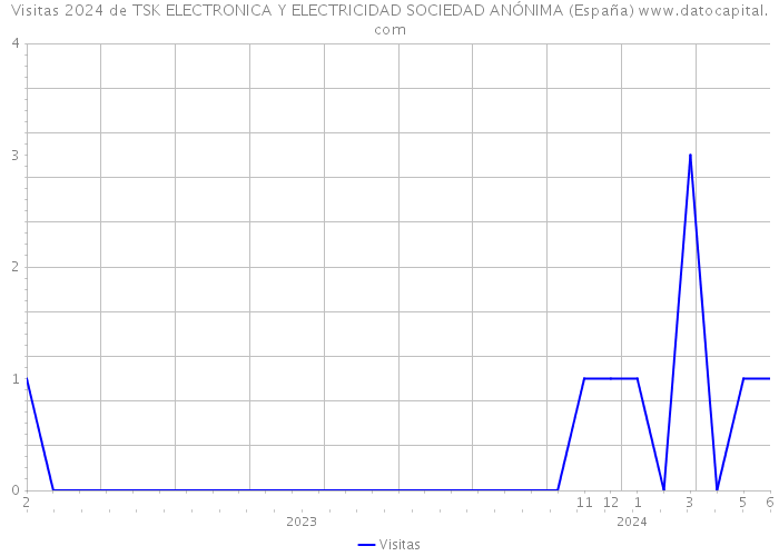 Visitas 2024 de TSK ELECTRONICA Y ELECTRICIDAD SOCIEDAD ANÓNIMA (España) 