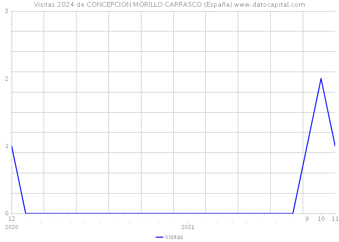 Visitas 2024 de CONCEPCION MORILLO CARRASCO (España) 