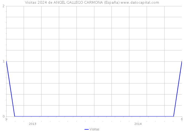 Visitas 2024 de ANGEL GALLEGO CARMONA (España) 