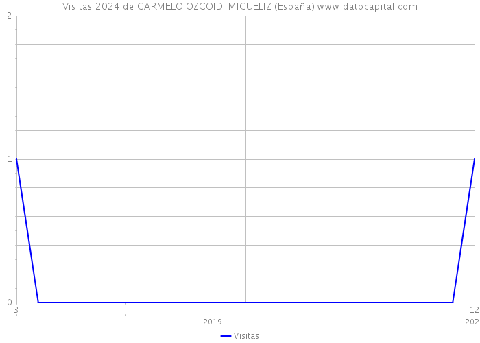 Visitas 2024 de CARMELO OZCOIDI MIGUELIZ (España) 