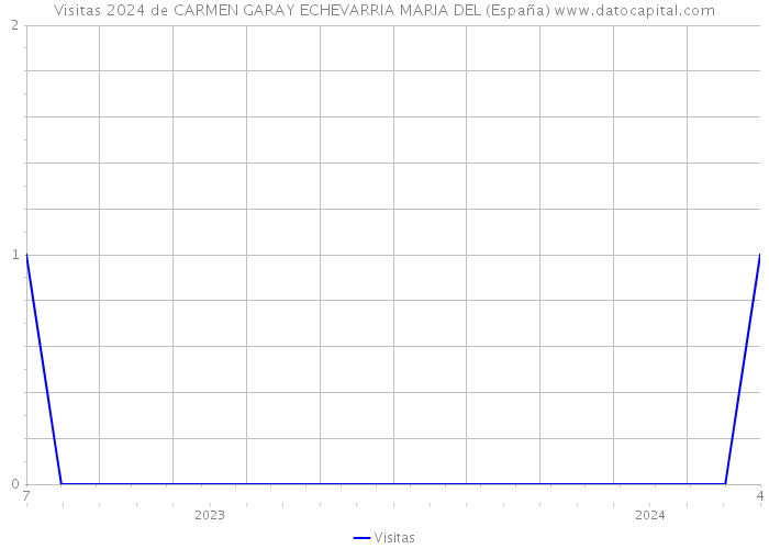 Visitas 2024 de CARMEN GARAY ECHEVARRIA MARIA DEL (España) 