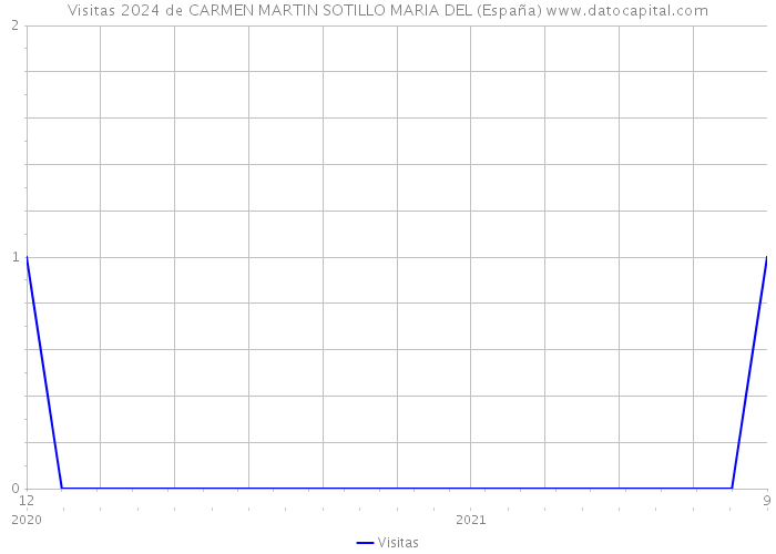 Visitas 2024 de CARMEN MARTIN SOTILLO MARIA DEL (España) 