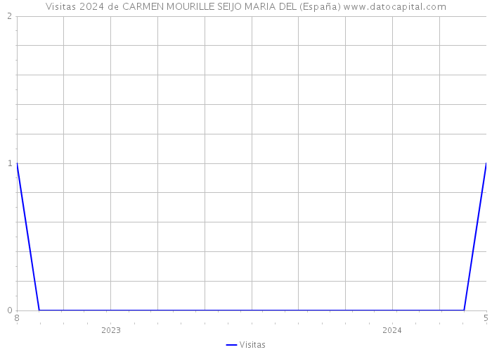 Visitas 2024 de CARMEN MOURILLE SEIJO MARIA DEL (España) 