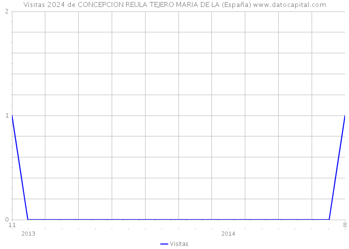 Visitas 2024 de CONCEPCION REULA TEJERO MARIA DE LA (España) 