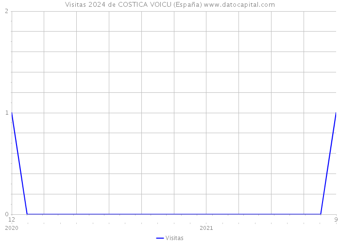 Visitas 2024 de COSTICA VOICU (España) 