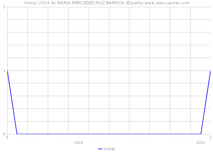 Visitas 2024 de MARIA MERCEDES RUIZ BARRIGA (España) 