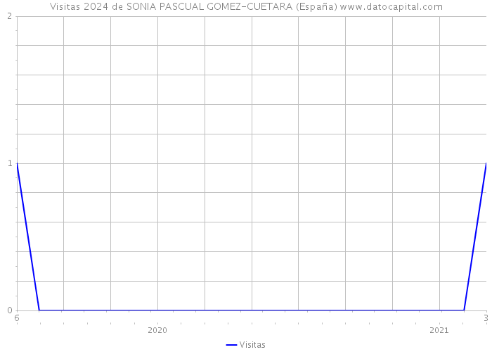 Visitas 2024 de SONIA PASCUAL GOMEZ-CUETARA (España) 