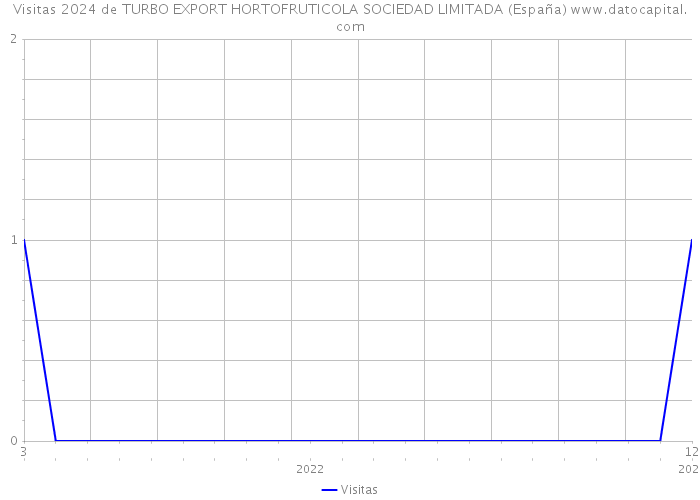 Visitas 2024 de TURBO EXPORT HORTOFRUTICOLA SOCIEDAD LIMITADA (España) 