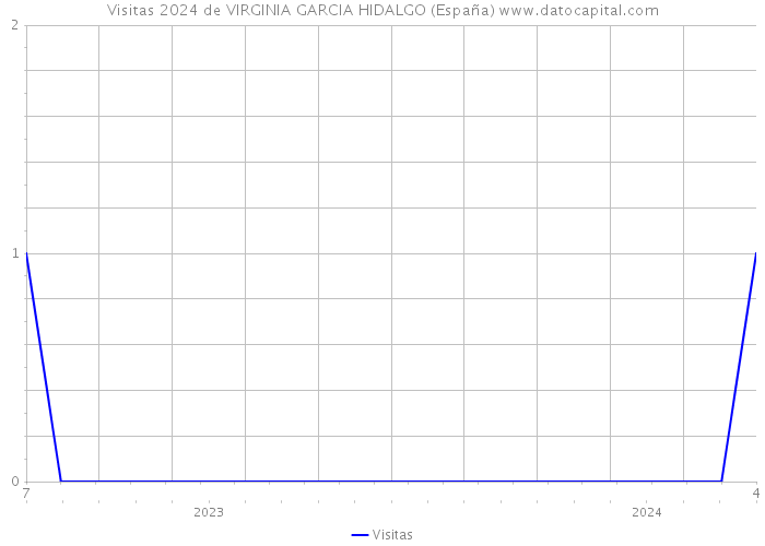 Visitas 2024 de VIRGINIA GARCIA HIDALGO (España) 