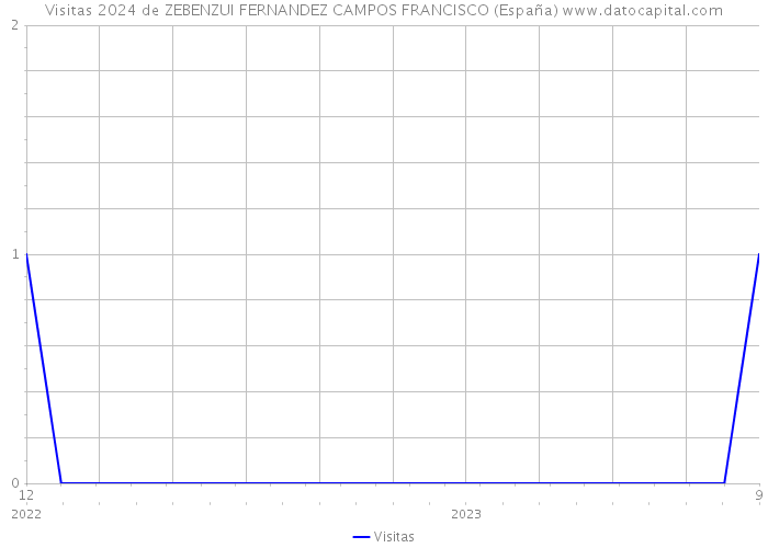 Visitas 2024 de ZEBENZUI FERNANDEZ CAMPOS FRANCISCO (España) 